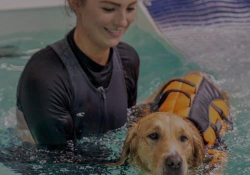 Canine hydrotherapy