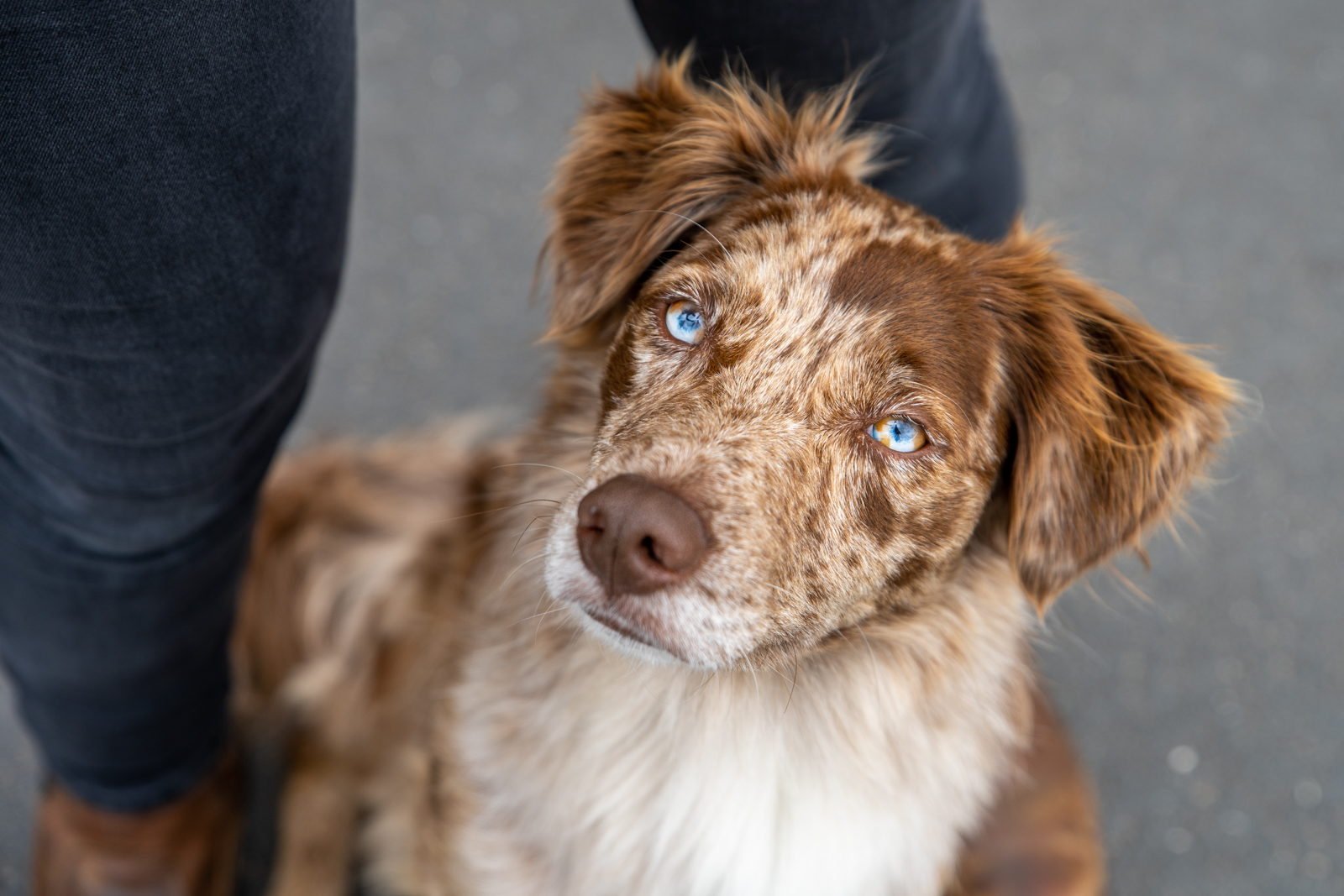 Stanley House - Higham (Web)-10 (1)